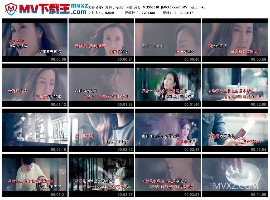 龙梅子-苦雨_国语_流行_MB506318